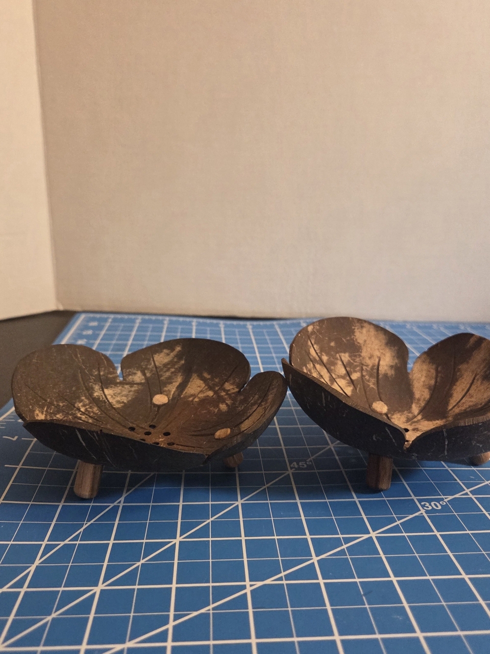 Coconut Shell Soap dish set of 2